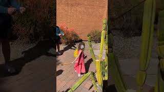 Fence/gate falls on girl as she hits yellow lemon pinata