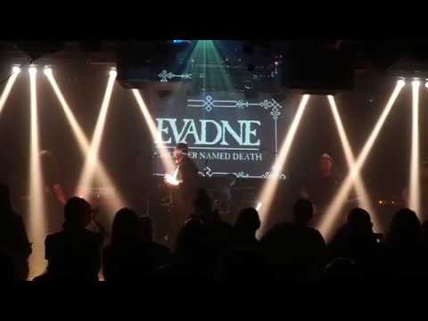 Evadne - Morningstar