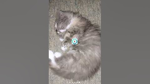 Sistem Pakar Tanaman Cabai : Menggunakan Metode Case Based Reasoning