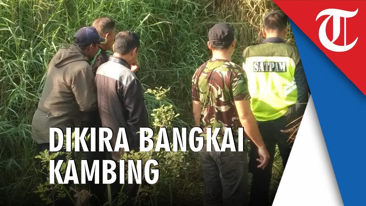 Sesosok Mayat Pria Ditemukan di Semak-semak di Bekasi, Sempat Dikira Bangkai Kambing camera iphone 8 plus apk