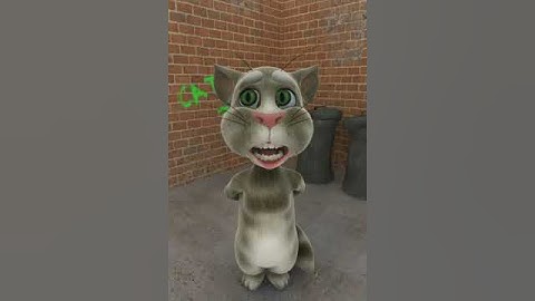 Zina Daoudia - Aatini Saki talking tom