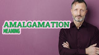 Amalgamation | Meaning of amalgamation 📖