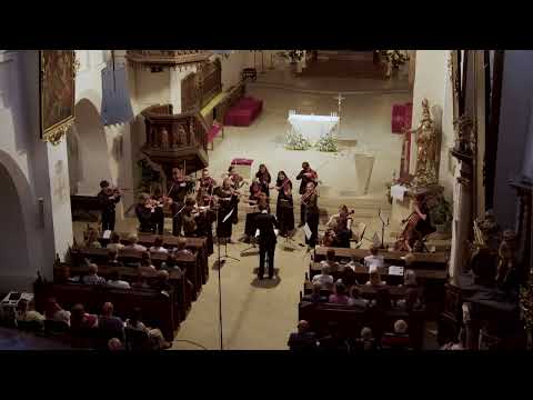 Antonín Dvořák (1841–1904): Serenáda E dur pro smyčcové nástroje, op. 22, B52