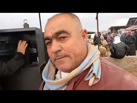 قناة زياد العموري للمواشي سوق جبرين حلب سعر الغنام والخروف لااتنسو الاشتراك بالقناه 2025 12 27