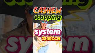 Cashew Scooping System 350SCCN #johncashewmachine #vietnamcashewmachine #cashewscoopingsystem