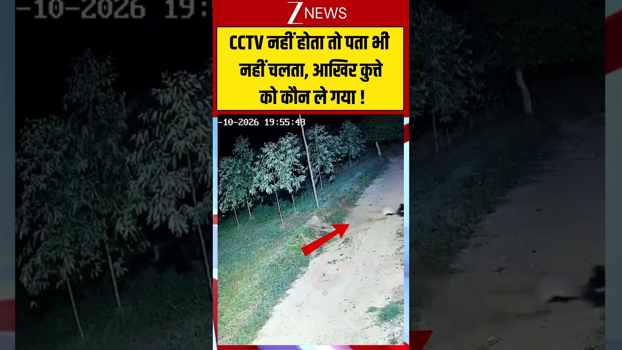 Viral CCTV: CCTV नहीं होता तो पता भी नहीं चलता, आखिर कुत्ते को कौन ले गया ! #ytshorts #trending
