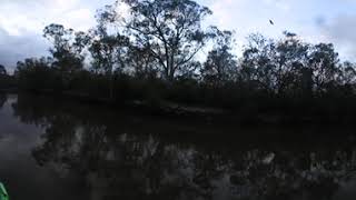 DSCN0038