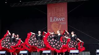 Flamenco dance - tanz(un)art Greiz
