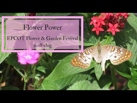 Video: Garden Fest - 'n Viering Van Tuine