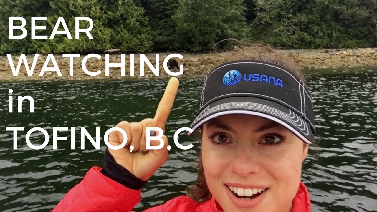 Bear Watching in Tofino, B.C.