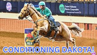 Why Conditioning Your Horse Is So Important!
