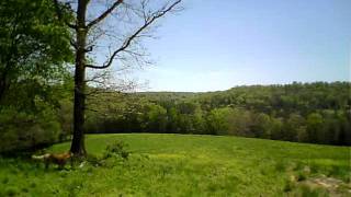 ZOOM0001.MOV