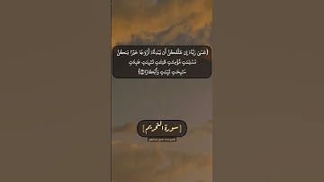 سورة التحريم الآية ٥ بصوت الشيخ محمد صديق المنشاوي