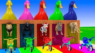 Download Lagu Long Slide Game With Cow Elephant Gorilla Hippopotamus Tiger 3d Animal Game Funny 3d Animals MP3 Download Lagu Long Slide Game With Cow Elephant Gorilla Hippopotamus Tiger 3d Animal Game Funny 3d Animals MP3