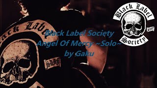 Vignette de la vidéo "Black Label Society / Zakk Wylde - Angel Of Mercy (Solo)  :by Gaku"