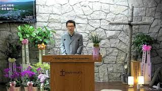&quot; 서로를 잡아 주는 뿌리 , 흔들려도 쓰러지지 않는 공동체 !! &quot;   25년6월09일 (월) 05:00 새벽예배,   김포 헤세드 교회  ( 필립 목사 )