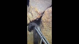 LIVE🔴-I catching seafood on the seafloor. Look what I caught.-Z1015-3#fishing #ocean #deepsea #beach