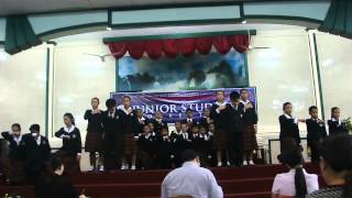 LSIS JSC 2014 (Part II - Performances)