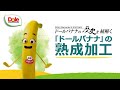 【ドールバナナの歴史を紐解く】｢ドールバナナ」の熟成加工