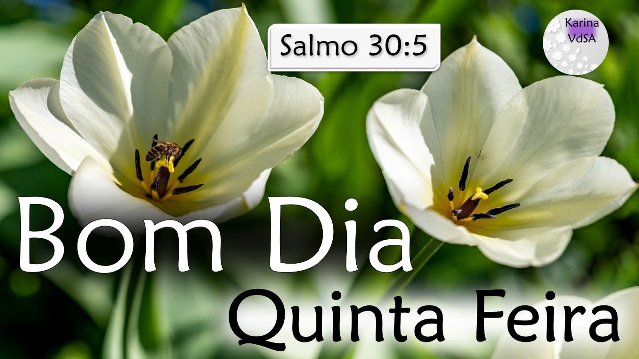 Mensagem de Feliz Quinta Feira Abençoada | Salmo 30:5 | Bom Dia - YouTube