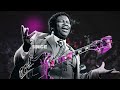 Austin City Limits Celebrates 50 Years with their Fans & Supporters