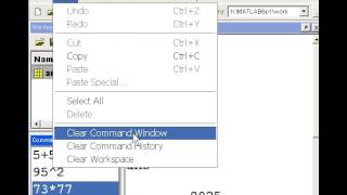 Celebrity Matlab Basics 02 Clearing via menu Profile