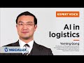 Artificial intelligence in warehousing - Interviewing Yeming Gong (Emlyon Business School)