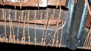 Playing A Piano with 5% Complete Strings