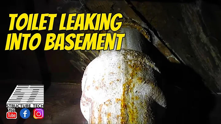 Toilet leaking into basement, Minneapolis Home Inspection