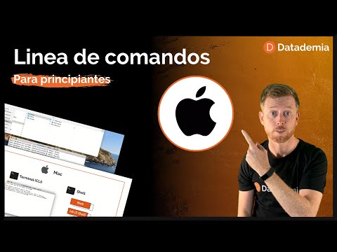 Video: Este Mac un bash?