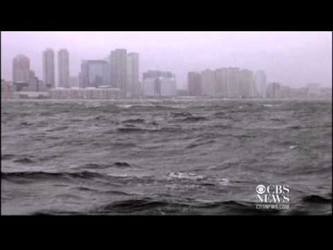 Video: New York's Wildlife, Pets Suffered In Hurricane Sandy Too