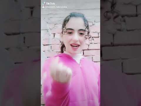 كلها حورات ومفيش سالك