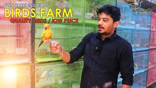 Birds Farm In Chennai | மொத்த பறவைகளின் பிறப்பிடம் Own Breeder | Oor Naattan
