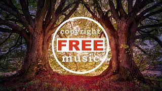 LiQWYD - Heartbeat [Copyright FREE Music]