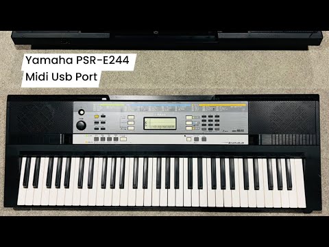 Yamaha PSR-E244 Keyboard ( Wilsons Music Instruments