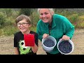 Bluberry picking 2021 (trailer)