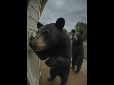 يا عم افتح انا عمده