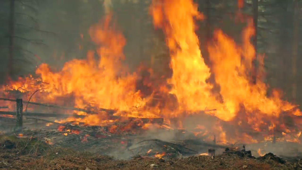 Ennallistamispoltto Keuruun Jusseronsalossa 31.5.2023