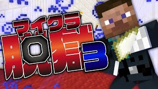 #17【マイクラ脱獄】入ってはいけない秘密のエリア【日常組】