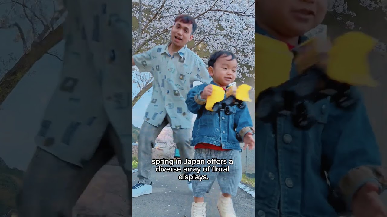 What happens in Spring | JEPANG 