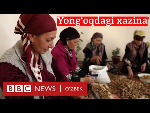Videó: Hajdina Halakkal Kettős Kazánban