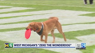 Zeke The Wonderdog Unites Um, Msu Fans Ahead Of Game