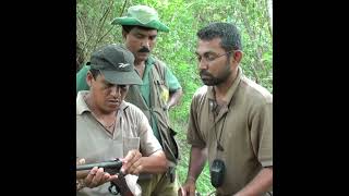 Wildlife Officials Administering Vaccinations To Wild Elephants | 野生ゾウにワクチンを投与する野生動物当局 #Shorts