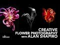 Creative Flower Photography with Alan Shapiro