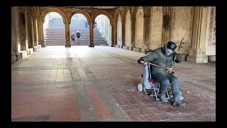 Chinese Erhu In Central Park