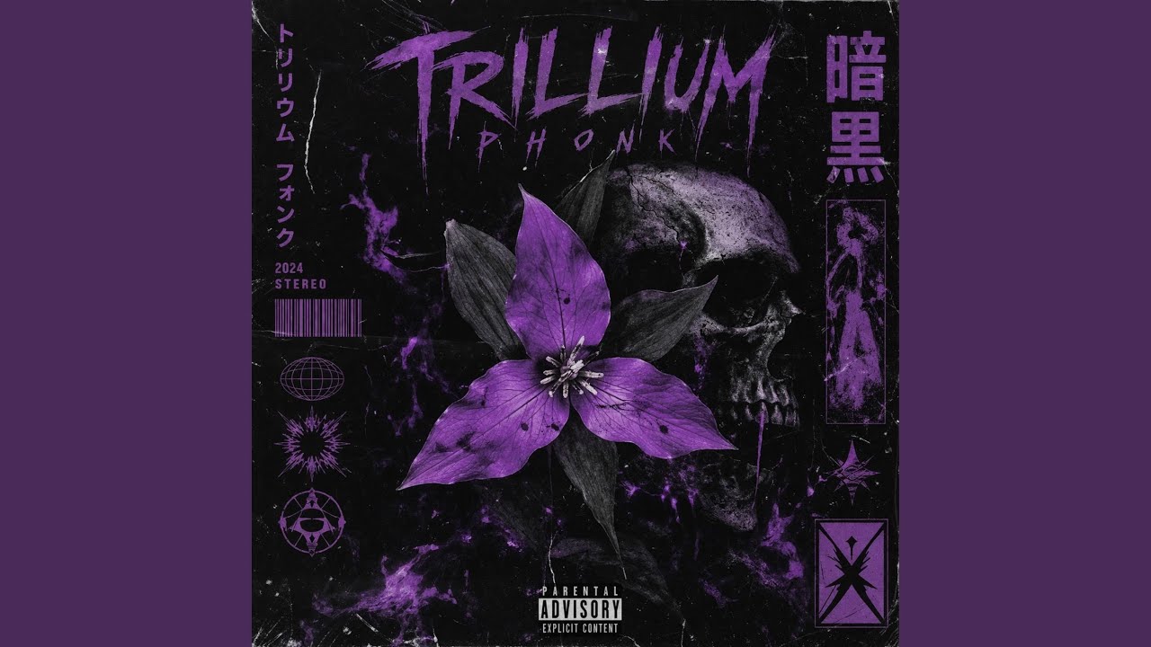 Guarda Trillium Phonk su YouTube Guarda Trillium Phonk su YouTube