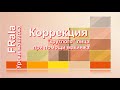 О том, как круглое лицо сделать уже, и несколько приемов коррекции формы носа