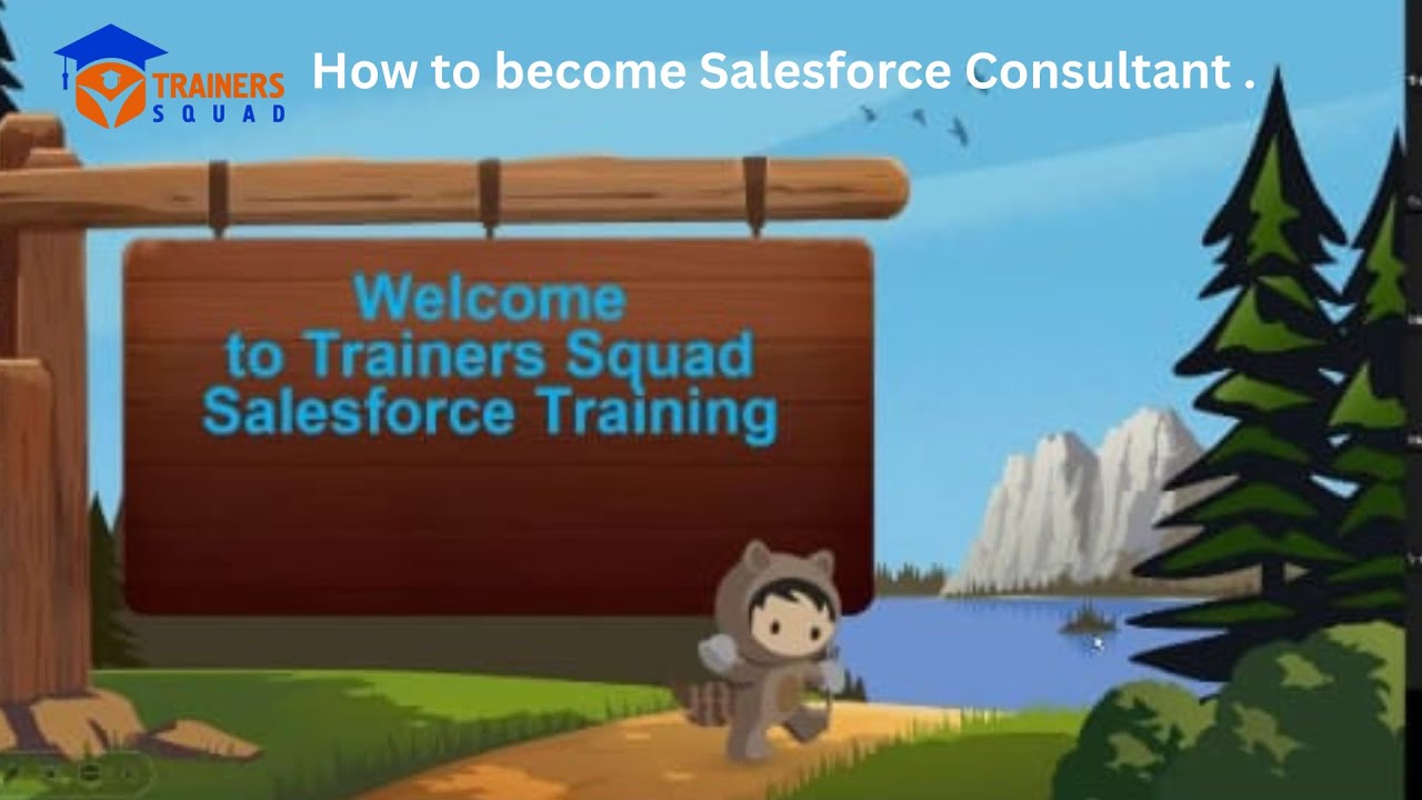 How to become Salesforce Consultant By Trainers Squad .