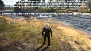 Witcher 3 Clear Weather Bug