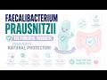 Everything about Faecalibacterium prausnitzii